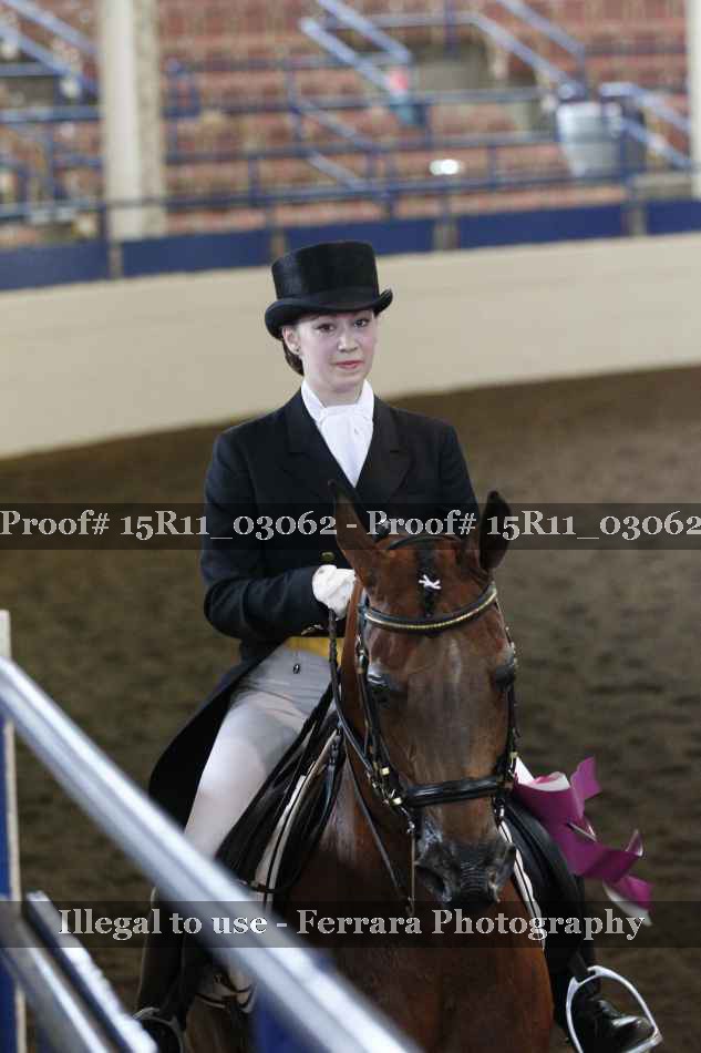 Proof Number 15R11_03062