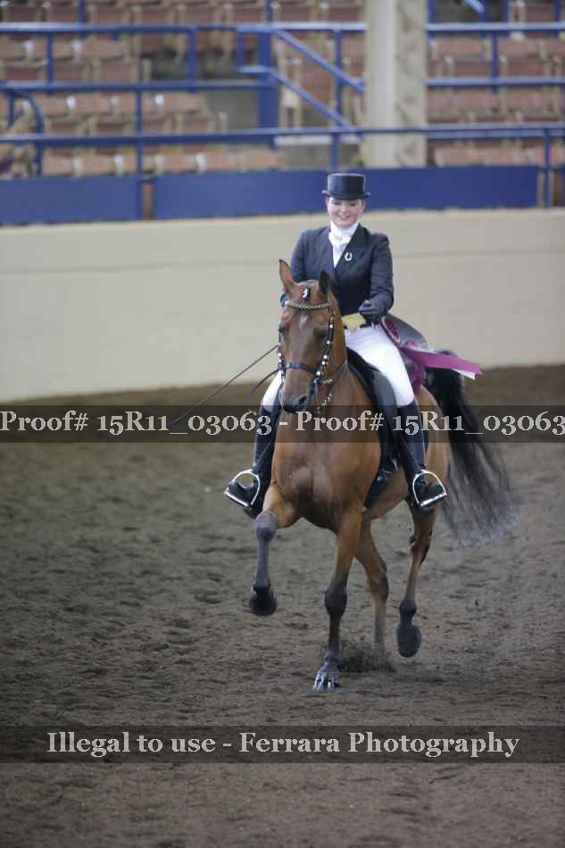 Proof Number 15R11_03063