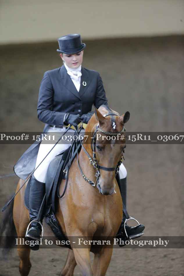 Proof Number 15R11_03067