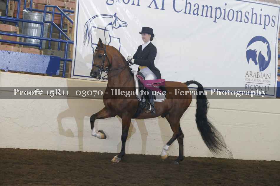 Proof Number 15R11_03070