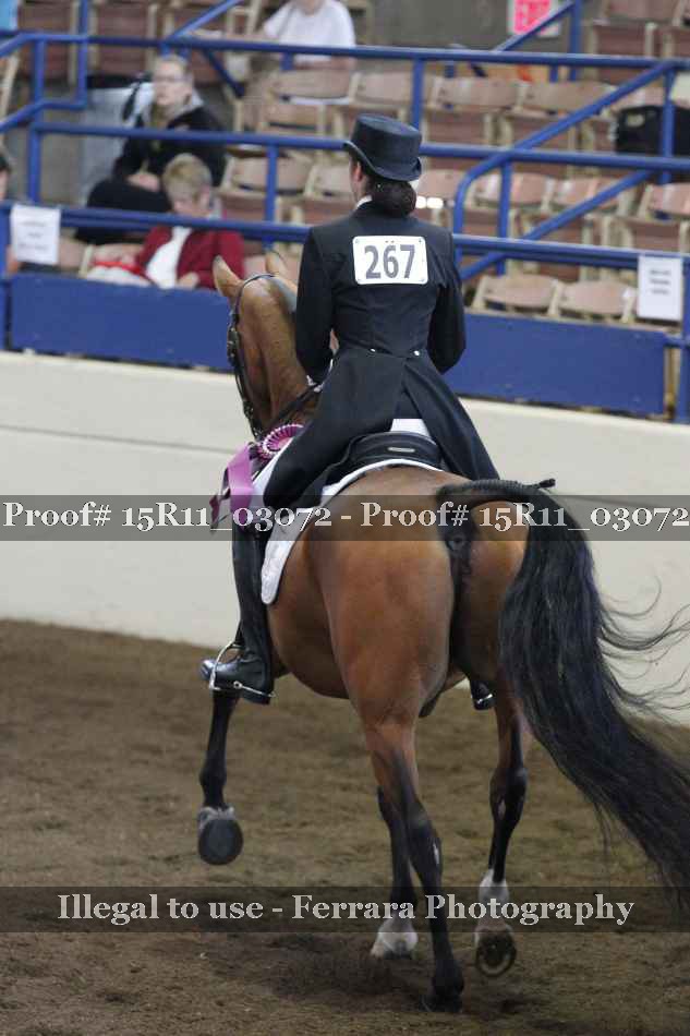 Proof Number 15R11_03072