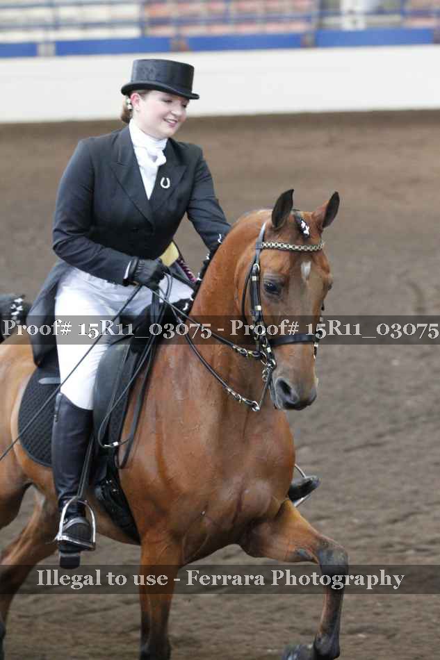 Proof Number 15R11_03075