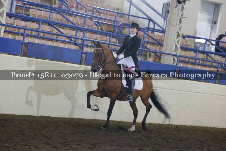 Proof Number 15R11_03079