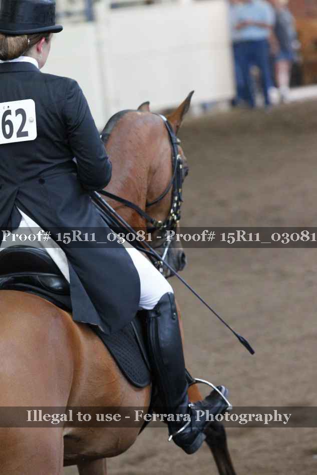Proof Number 15R11_03081