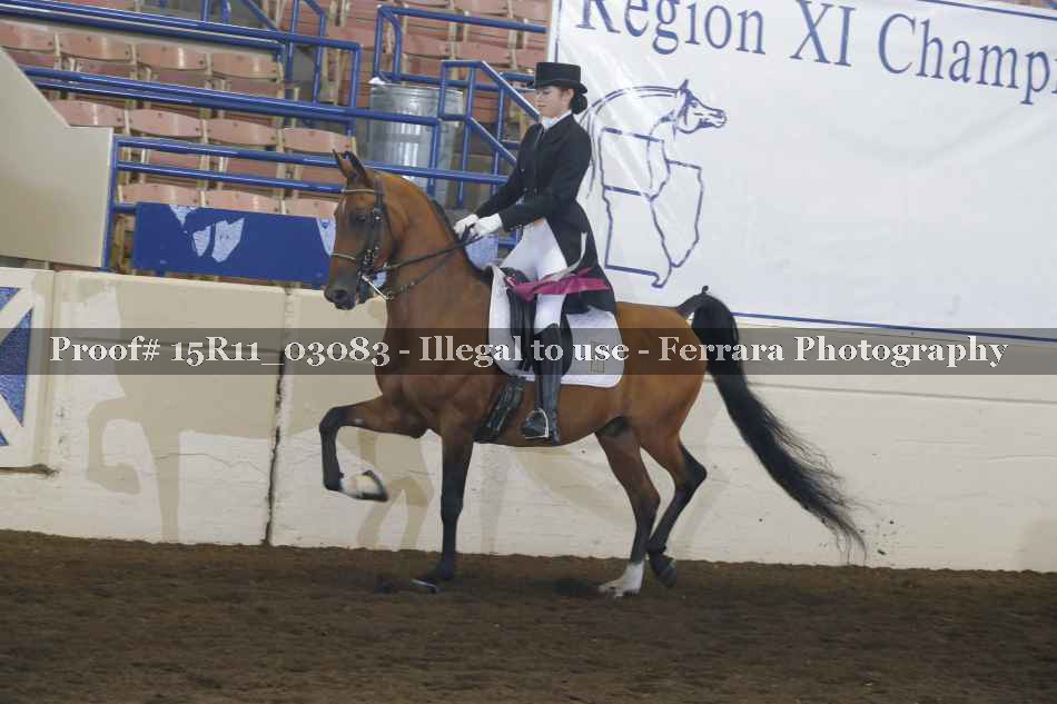 Proof Number 15R11_03083