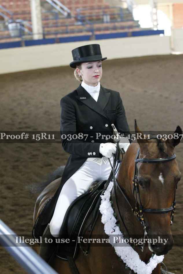Proof Number 15R11_03087