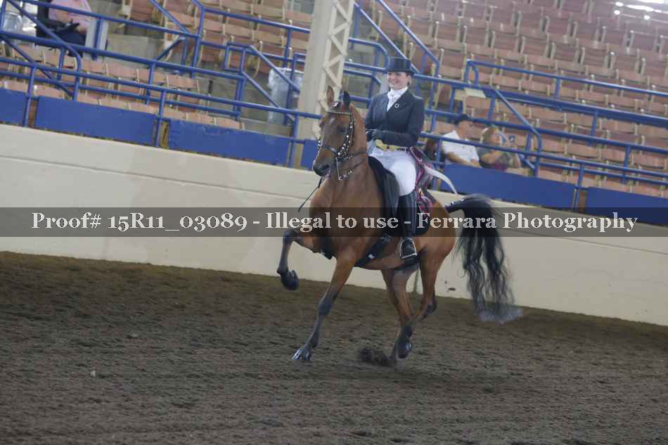 Proof Number 15R11_03089