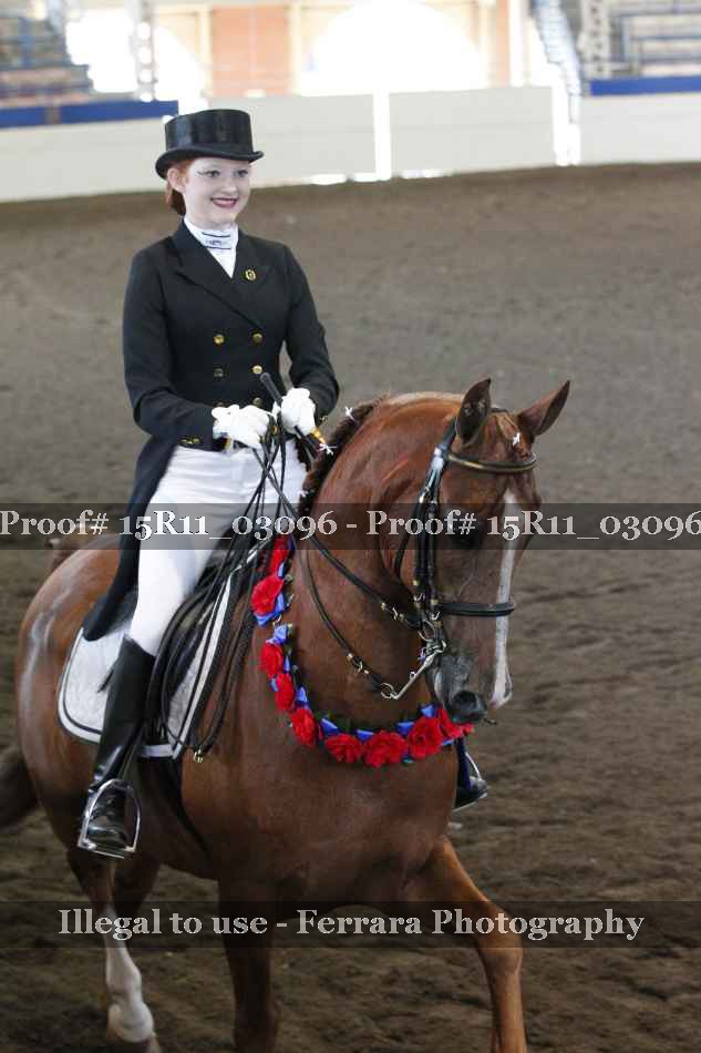 Proof Number 15R11_03096
