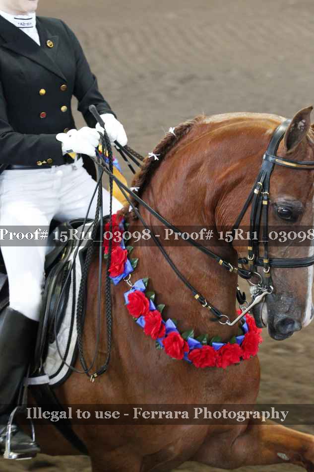 Proof Number 15R11_03098