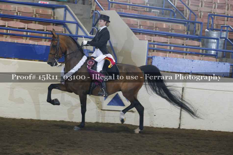 Proof Number 15R11_03100