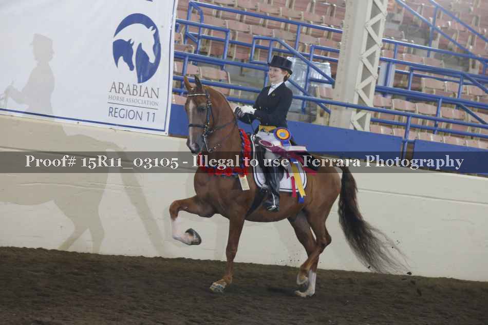 Proof Number 15R11_03105