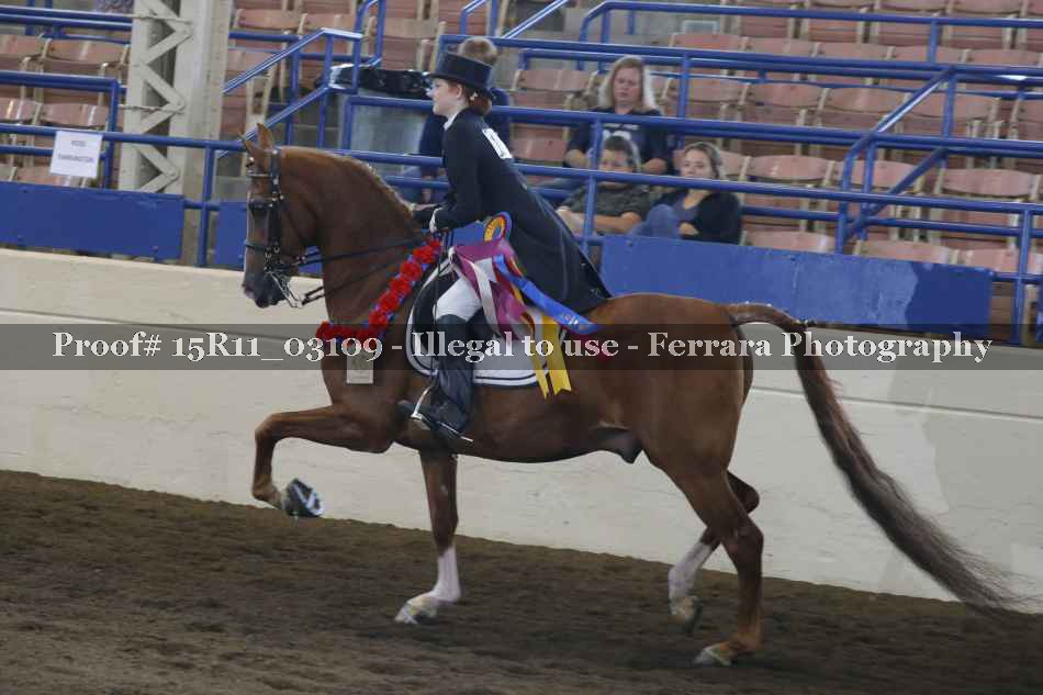 Proof Number 15R11_03109