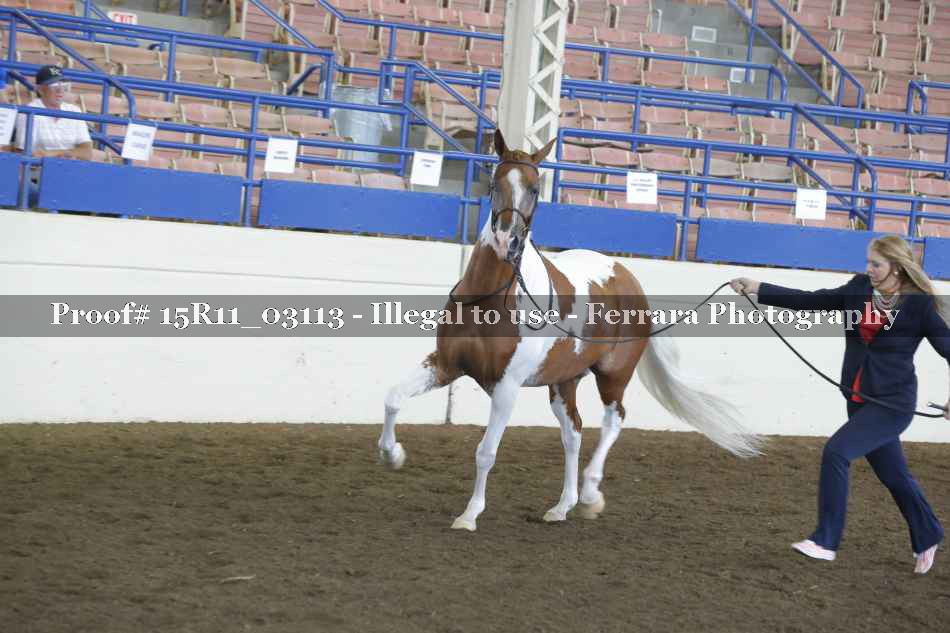 Proof Number 15R11_03113