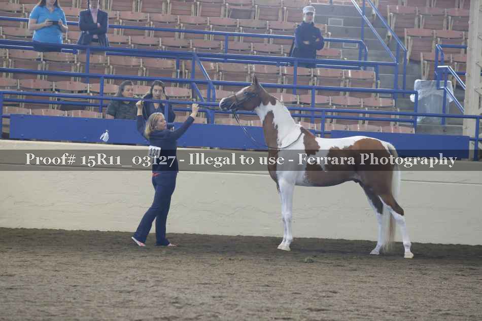 Proof Number 15R11_03127