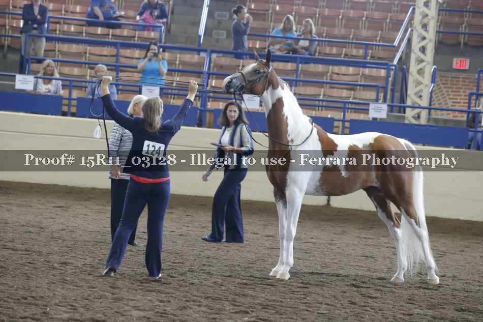 Proof Number 15R11_03128