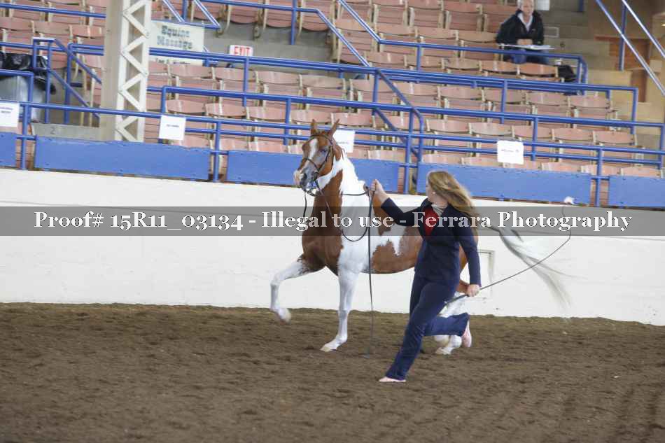 Proof Number 15R11_03134