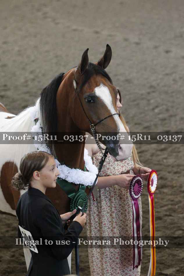 Proof Number 15R11_03137