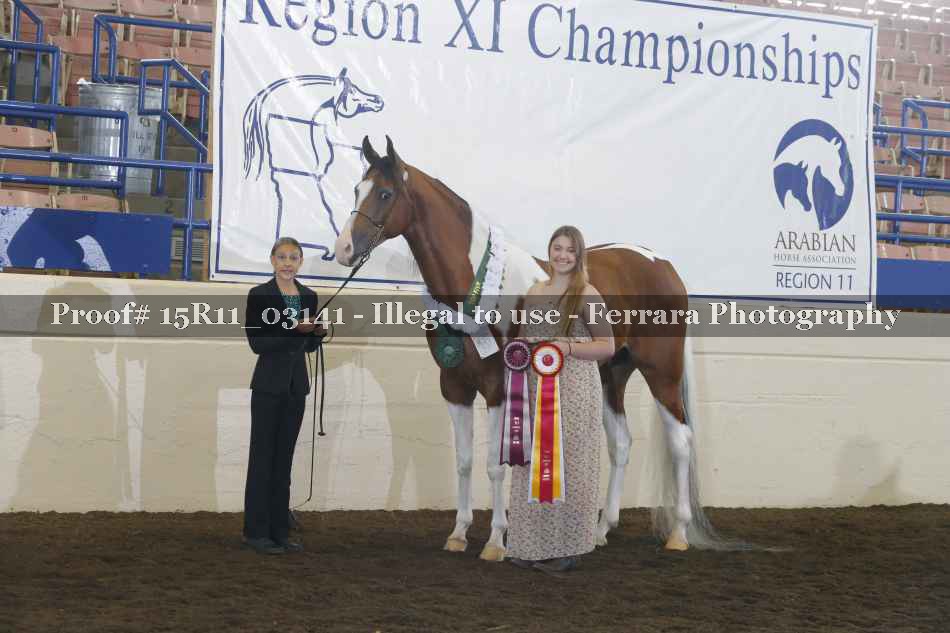 Proof Number 15R11_03141