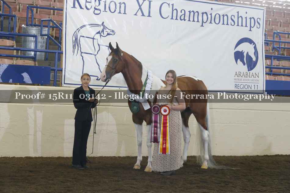 Proof Number 15R11_03142