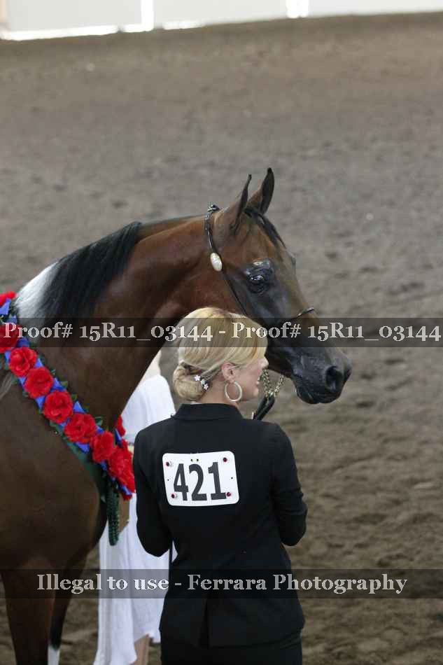 Proof Number 15R11_03144