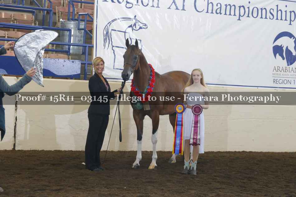 Proof Number 15R11_03145