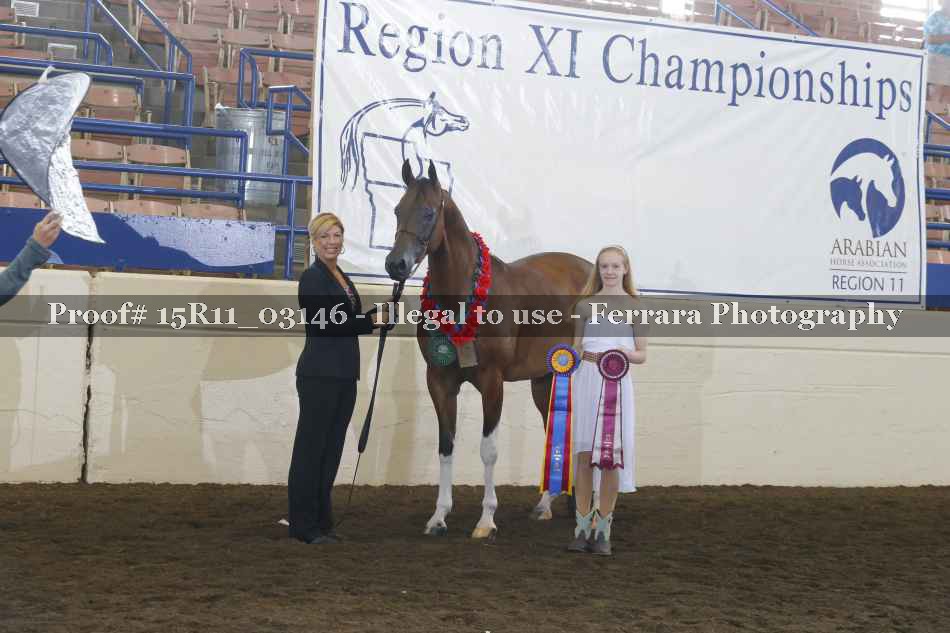 Proof Number 15R11_03146