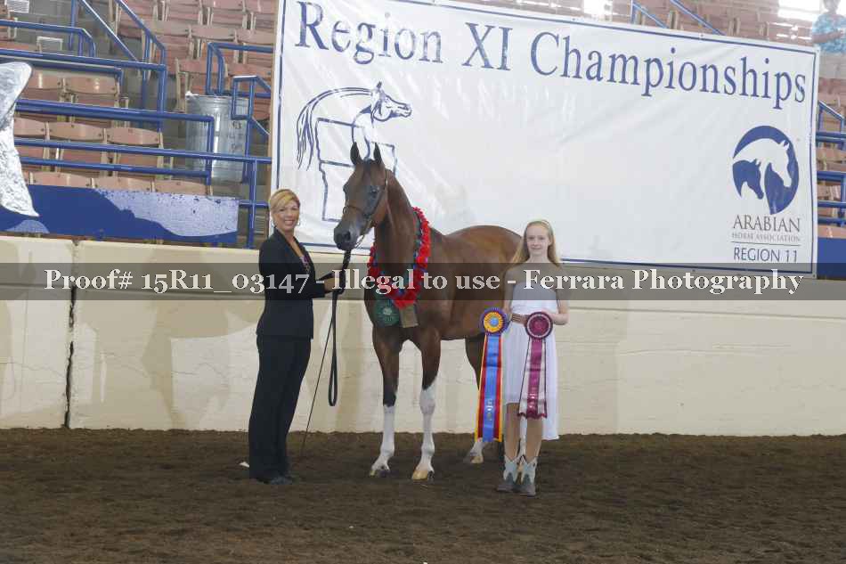 Proof Number 15R11_03147