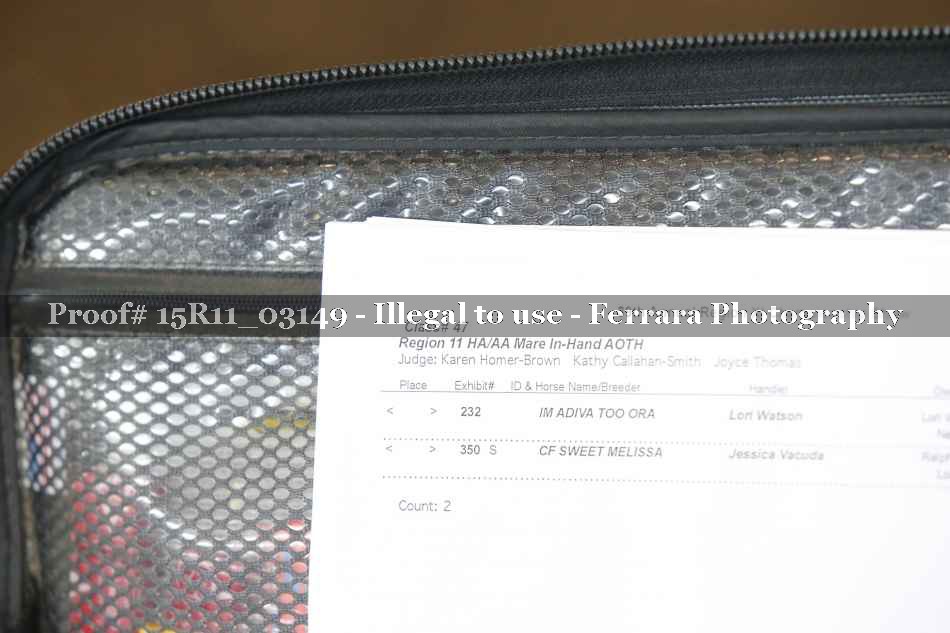 Proof Number 15R11_03149