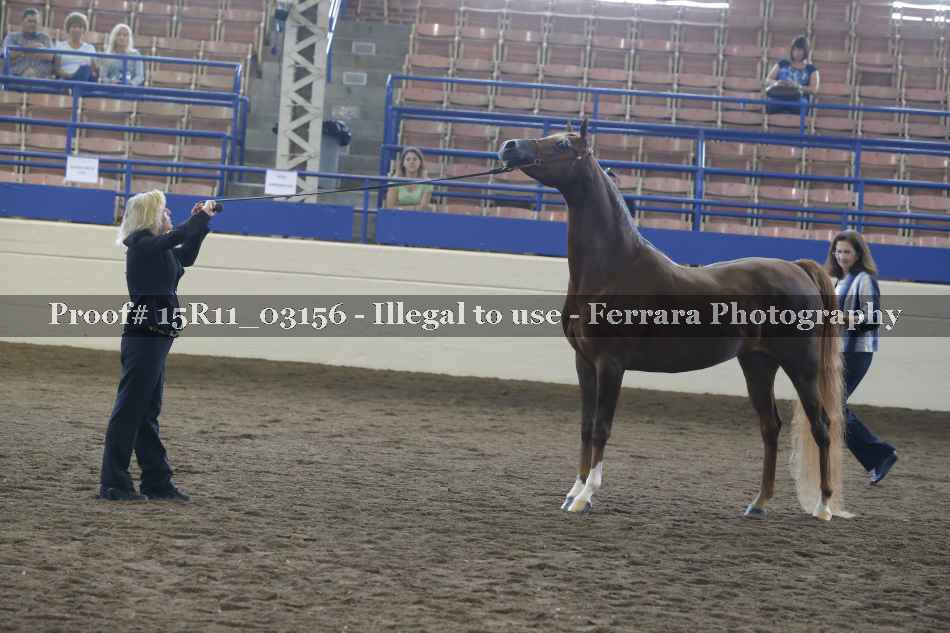 Proof Number 15R11_03156