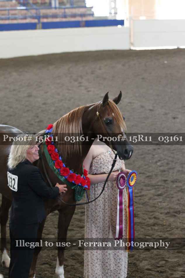 Proof Number 15R11_03161