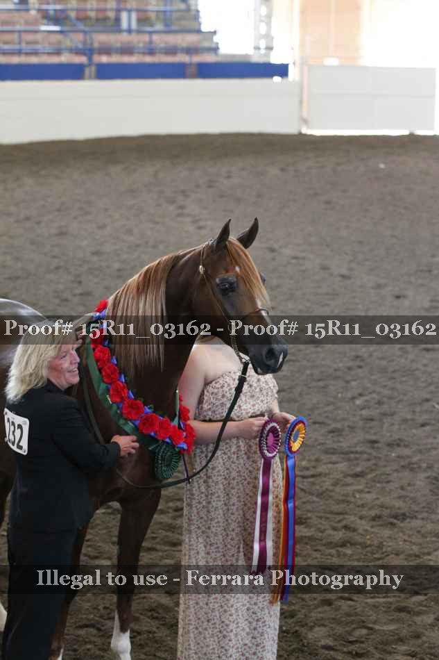 Proof Number 15R11_03162