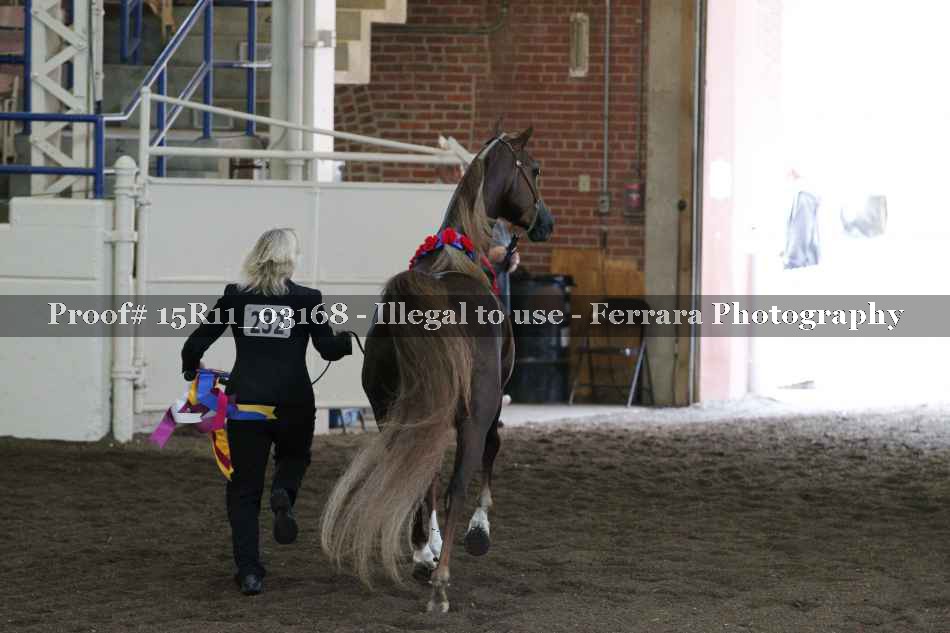 Proof Number 15R11_03168