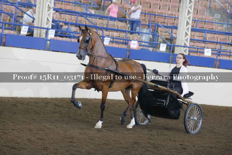 Proof Number 15R11_03171