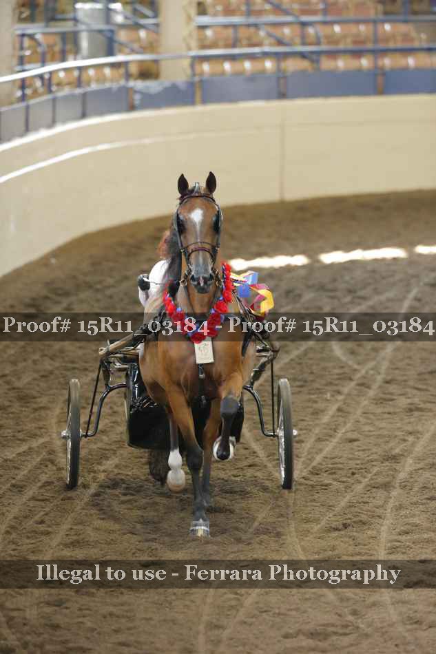 Proof Number 15R11_03184