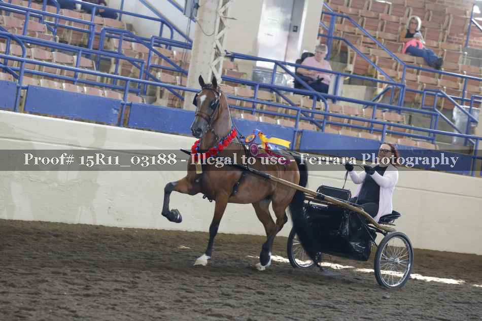 Proof Number 15R11_03188
