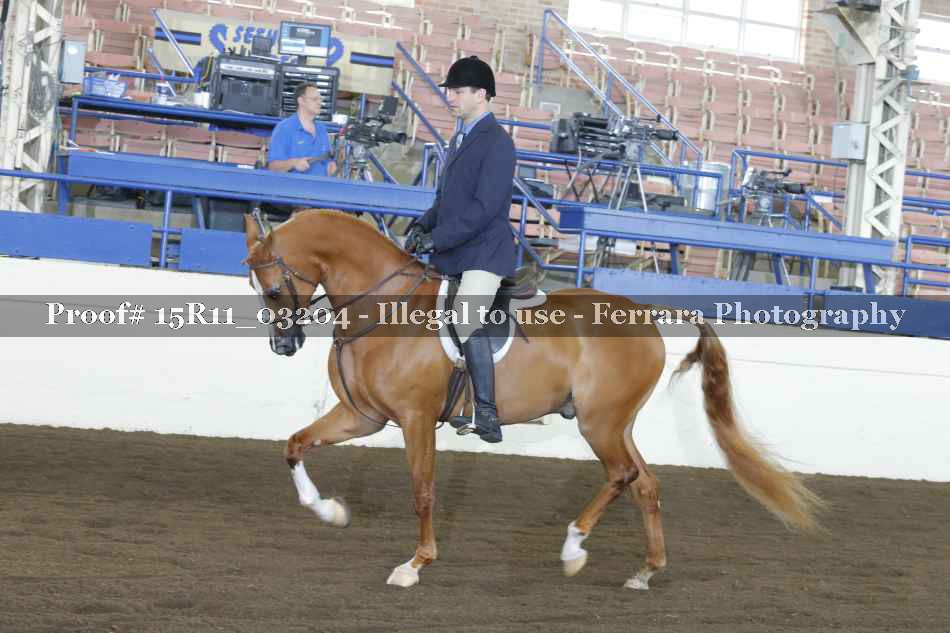 Proof Number 15R11_03204