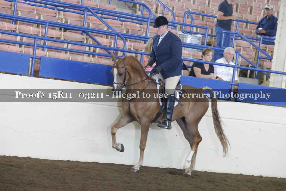 Proof Number 15R11_03211