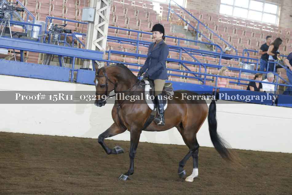 Proof Number 15R11_03219