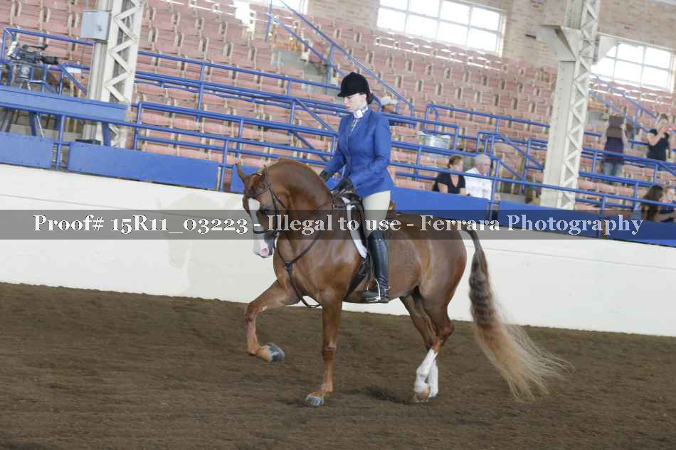 Proof Number 15R11_03223