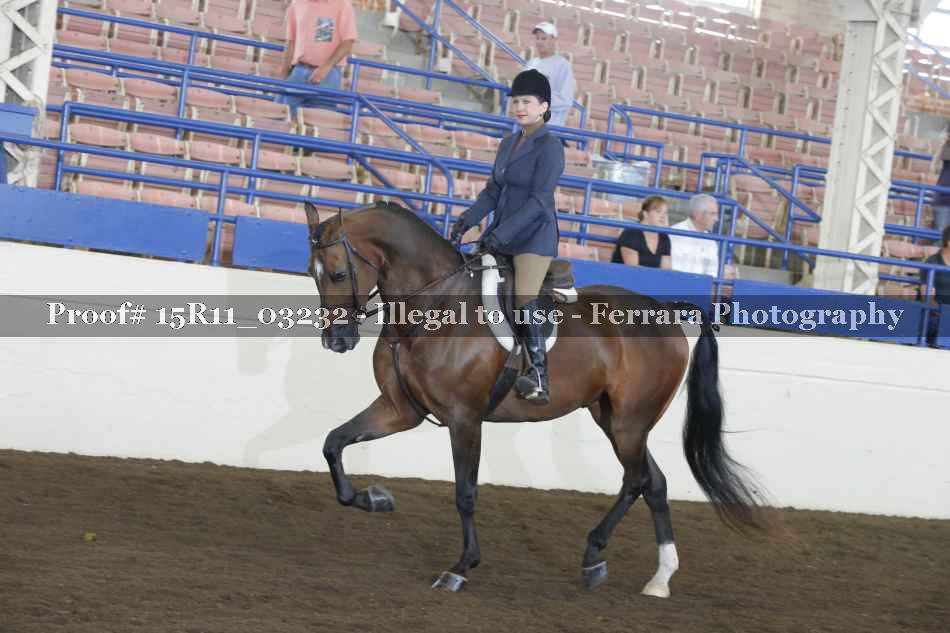 Proof Number 15R11_03232