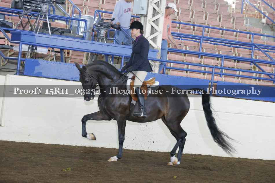 Proof Number 15R11_03234
