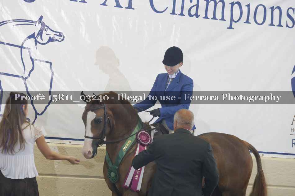 Proof Number 15R11_03240