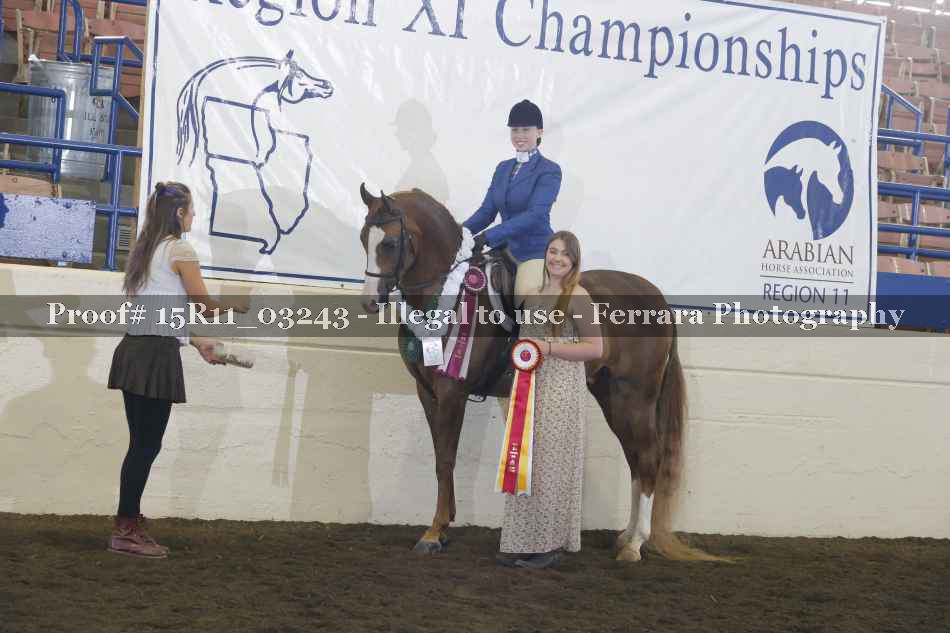 Proof Number 15R11_03243