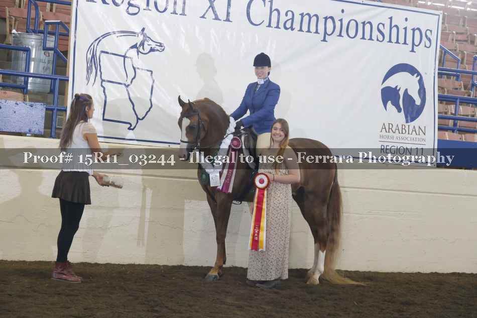 Proof Number 15R11_03244