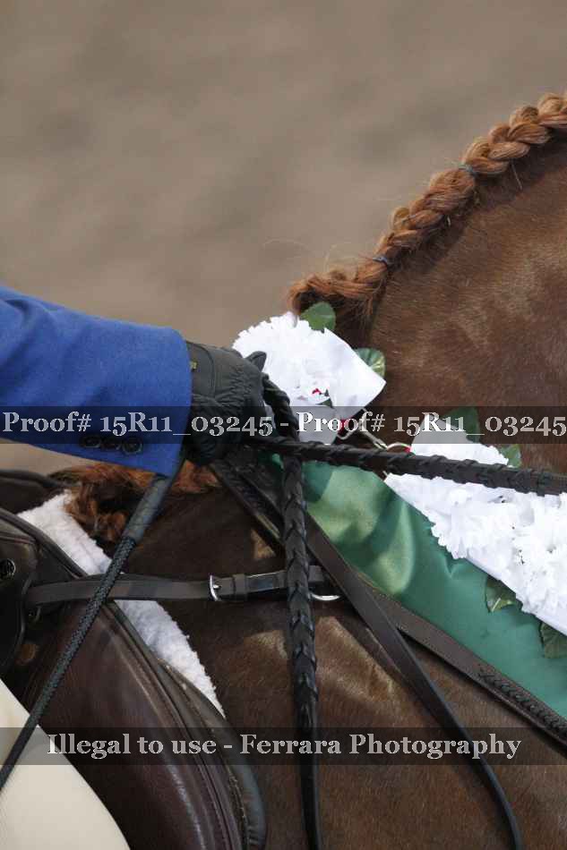 Proof Number 15R11_03245