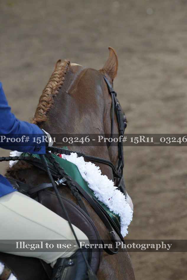 Proof Number 15R11_03246