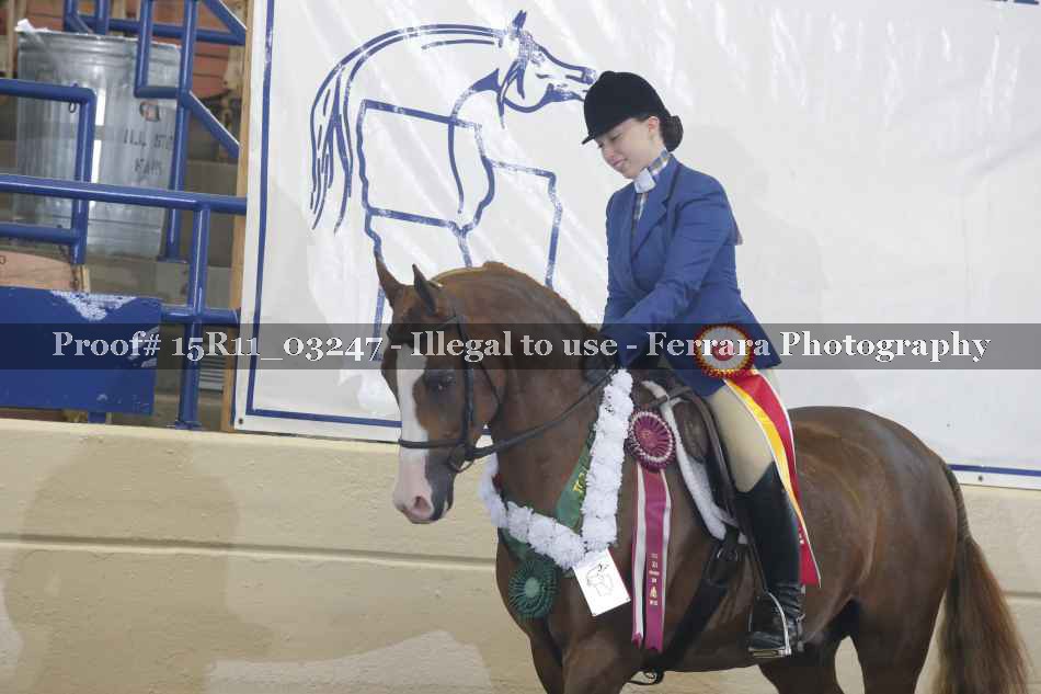 Proof Number 15R11_03247