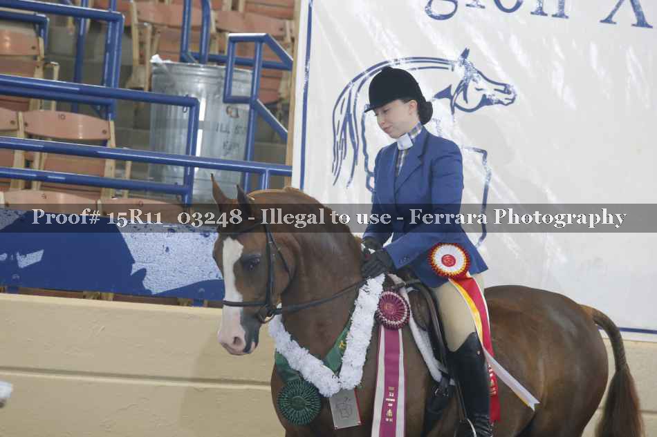 Proof Number 15R11_03248