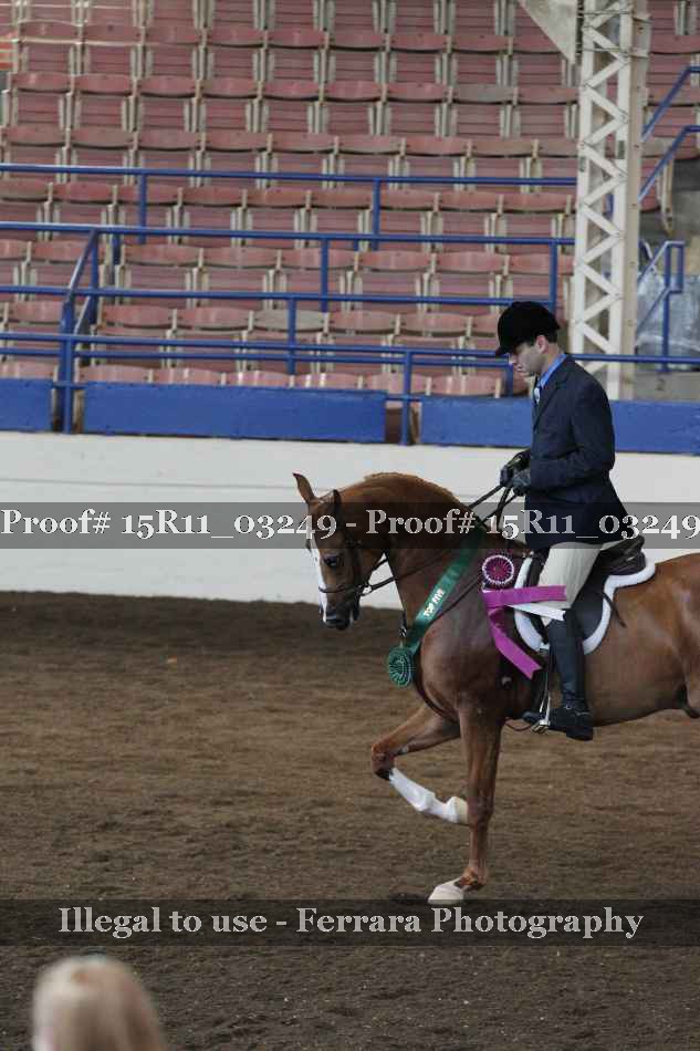 Proof Number 15R11_03249
