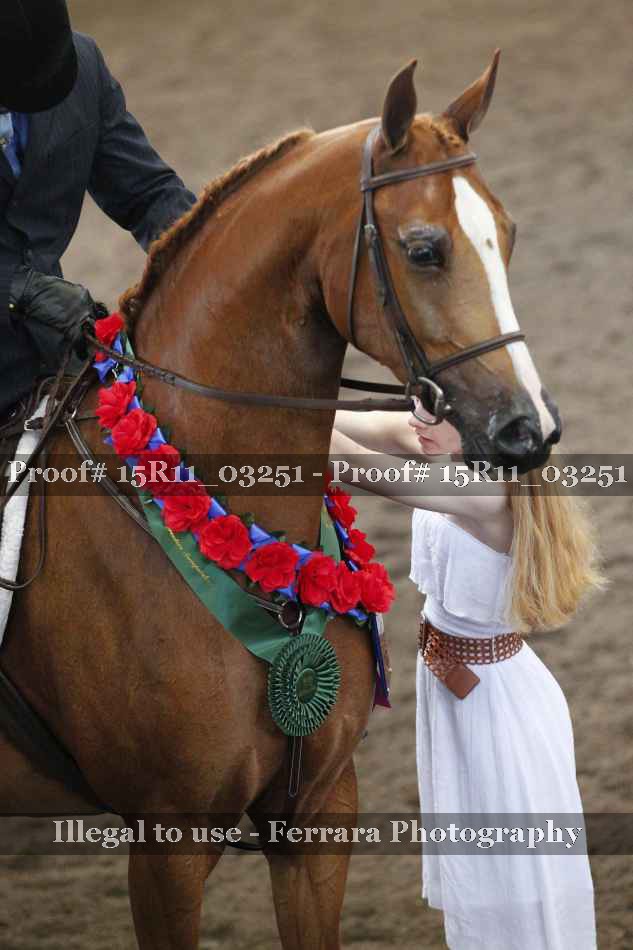 Proof Number 15R11_03251